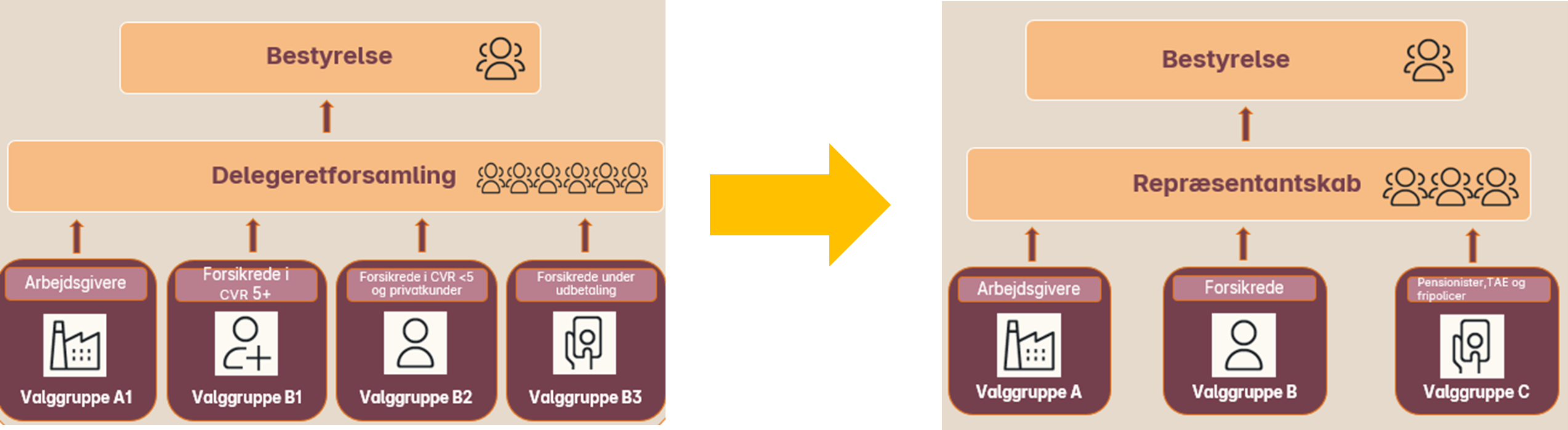 imageaeru5.png